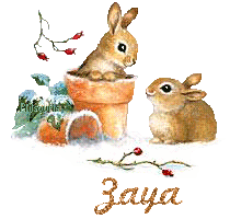 lapin21001