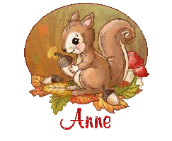 squirrel-25105