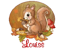 squirrel-25105