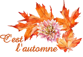 automne-23120
