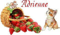 fraises-21069